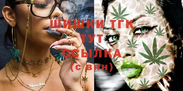 ПСИЛОЦИБИНОВЫЕ ГРИБЫ Абаза
