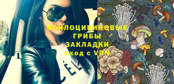ПСИЛОЦИБИНОВЫЕ ГРИБЫ Абаза