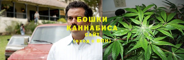 шишки Абинск
