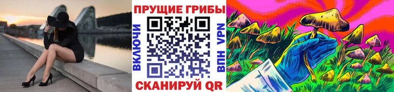 Псилоцибиновые грибы Psilocybe купить наркотик Кяхта